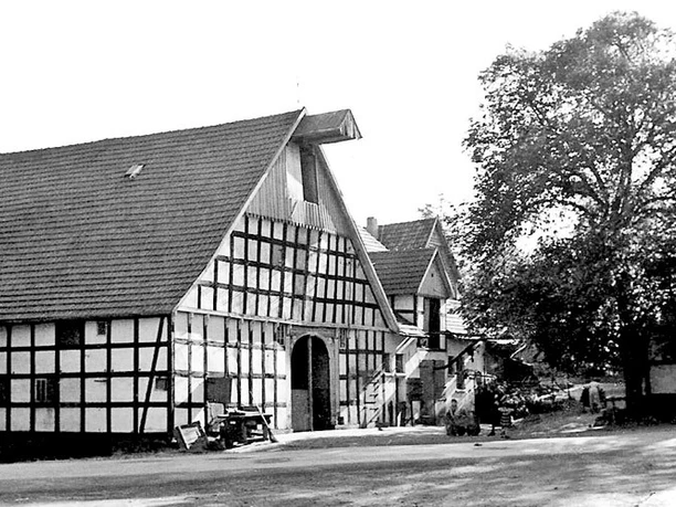 schnathorst-hof-niedermeier-01.jpg Historischer Fachwerkhof mit großen Scheunen und hohen Giebeldächern, umgeben von Bäumen.