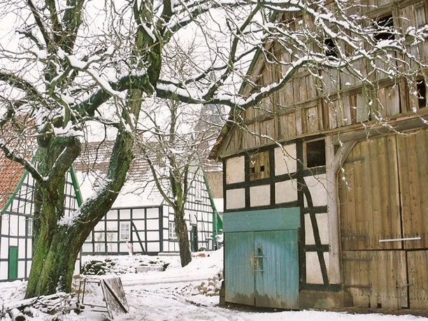 Vierständerscheune Hüllhorst Fachwerkkonstruktion der Vierständerscheune mit verschneitem Baum, typisch für ländliche Architektur.