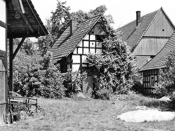 Historische Fachwerkscheune mit verwachsenem Holzrahmen zwischen Bäumen und benachbarten Gebäuden.