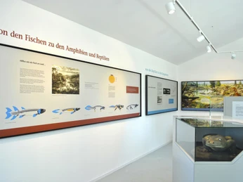 Ausstellung Kalkturm