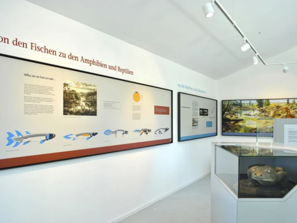 Ausstellung Kalkturm