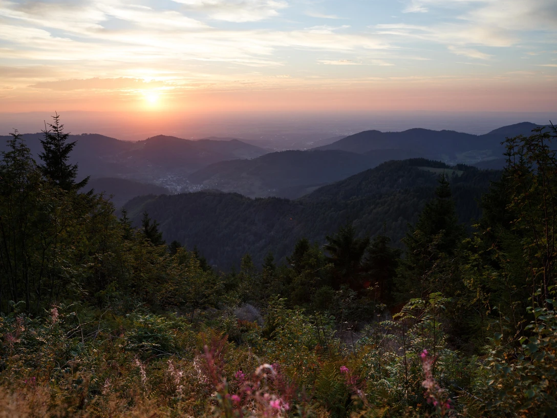 Unterwegs im Nationalpark Schwarzwald
