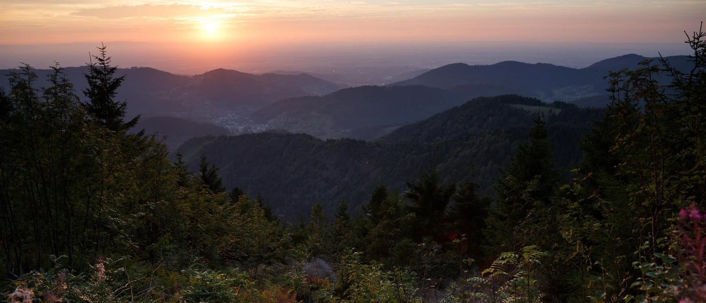 Unterwegs im Nationalpark Schwarzwald