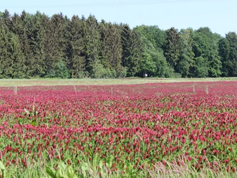 Landidylle Eggermühlen