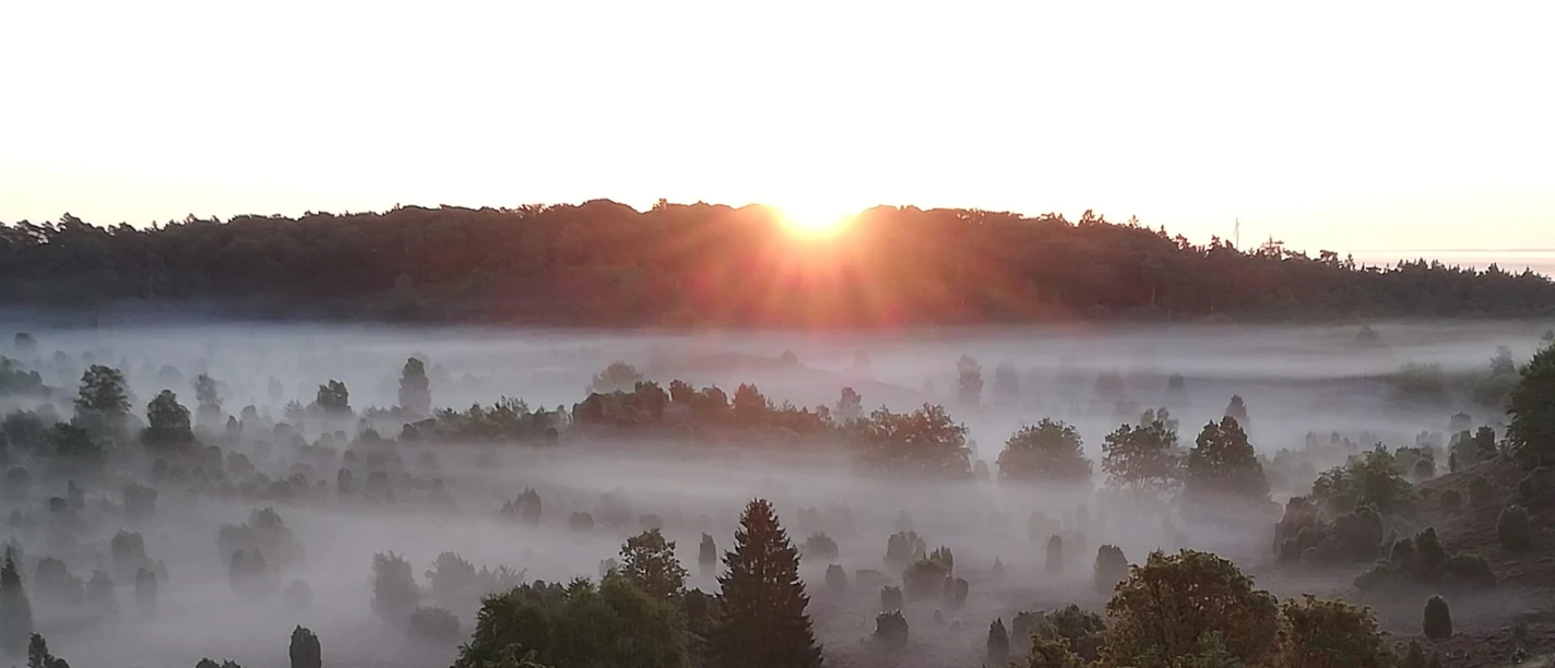 Fruehwanderung_020923_Bispingen-Touristik_Manfred_Loos_1.jpg Sonnenaufgang über dem nebelverhangenen Totengrund bei Bispingen mit Blick auf Heide und Wälder.