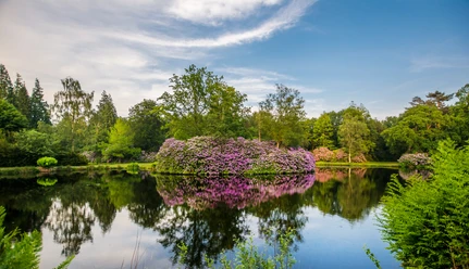 ©Friederike Hegner_2018_Schlosspark Lütetsburg_Parklandschaft-147.jpg