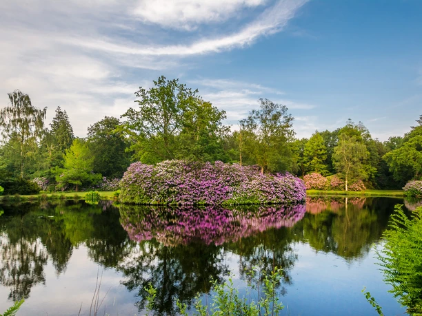 ©Friederike Hegner_2018_Schlosspark Lütetsburg_Parklandschaft-147.jpg