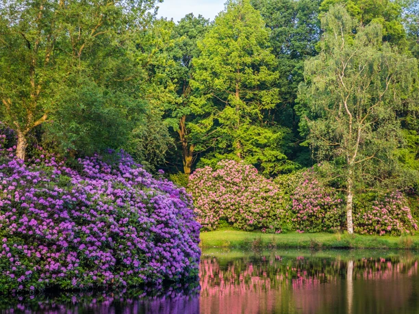 ©Friederike-Hegner_2018_Schlosspark-Lütetsburg_Parklandschaft-151_.jpg