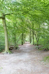 _62P8975.jpg