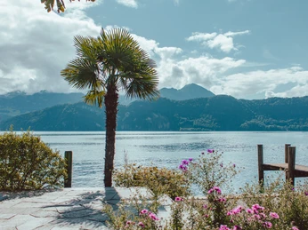 Quai d'Oberdorf Lüthi-Bödeli Aussicht vom Oberdorfquai in die BergeView of the mountains from OberdorfquaiVue sur les montagnes depuis le quai d'Oberdorf