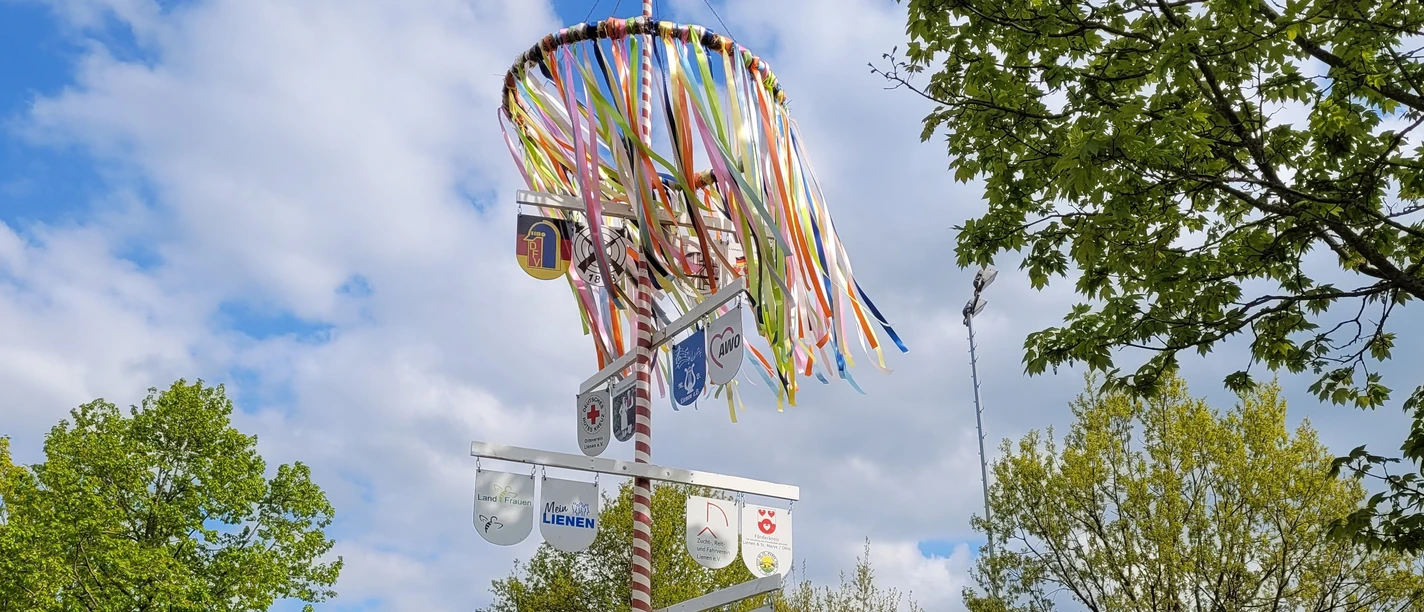 Lienener vereinsbaum