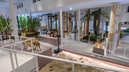 Rampen-Dauerausstellung-Museum am Schölerberg_C_HermannPentermann.jpg