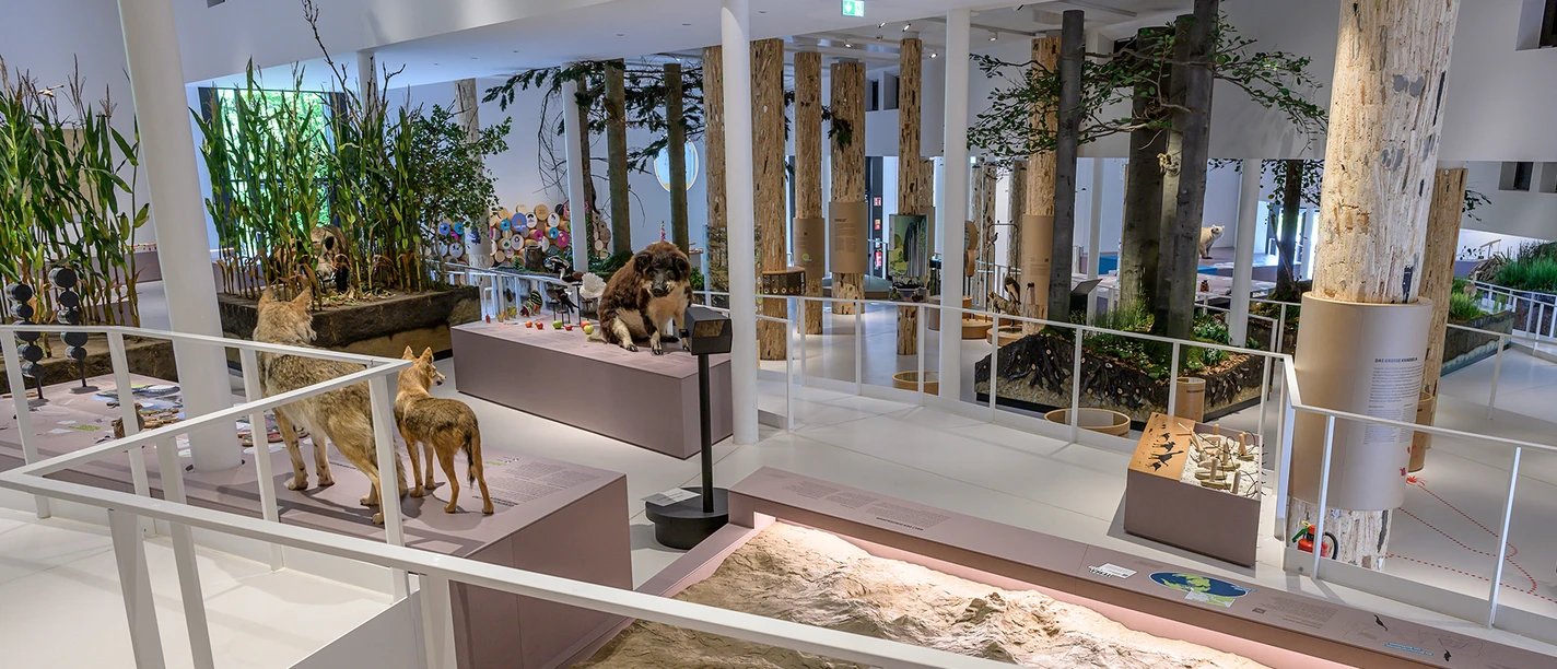 Rampen-Dauerausstellung-Museum am Schölerberg_C_HermannPentermann.jpg Rampen-Dauerausstellung-Museum am Schölerberg_C_HermannPentermann.jpg