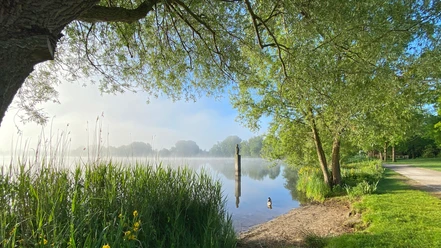 Der Vörder See mit Seemann im Morgennebel Der Vörder See mit Seemann im Morgennebel