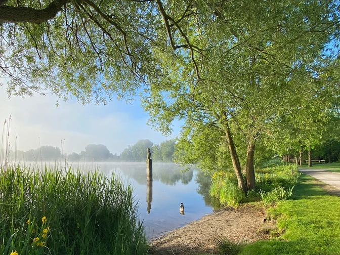 Der Vörder See mit Seemann im Morgennebel Der Vörder See mit Seemann im MorgennebelLake Vörder with sailor in the morning mistVördersøen med sejler i morgentågenVördermeer met zeiler in de ochtendmist
