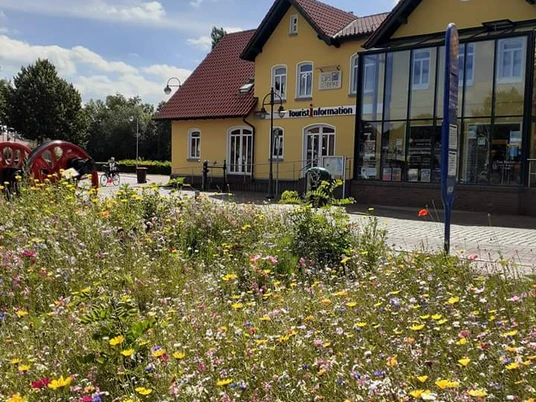 FB_IMG_1596392745270.jp