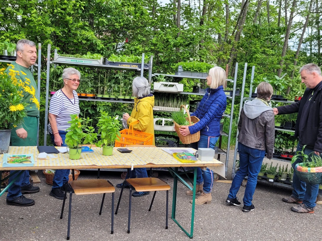 Pflanzenbörse Baiersbronn