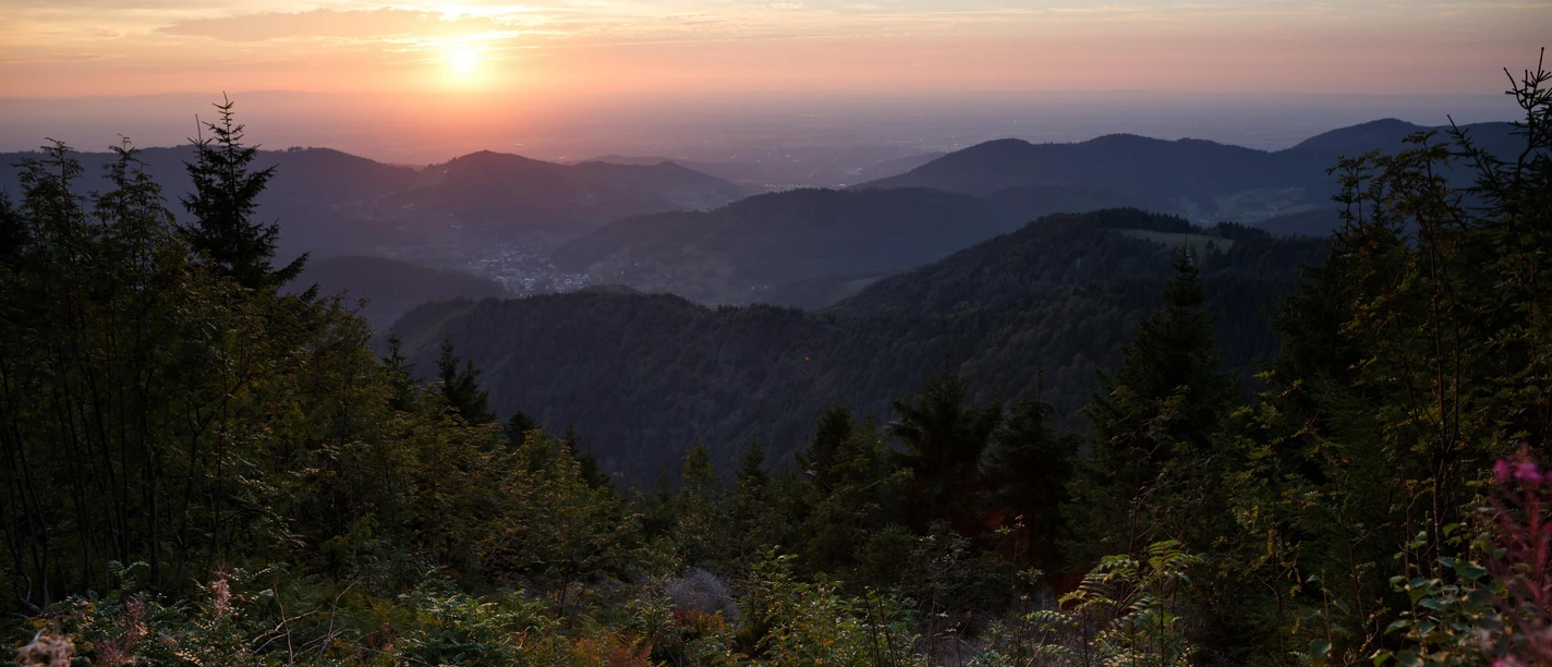 Unterwegs im Nationalpark Schwarzwald