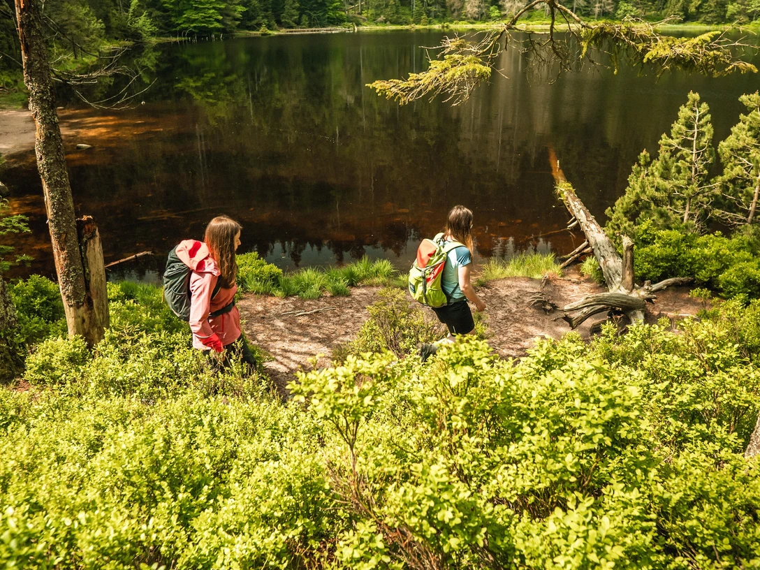 Wilder See im Nationalpark Schwarzwald