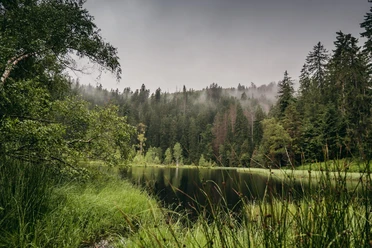 Buhlbachsee