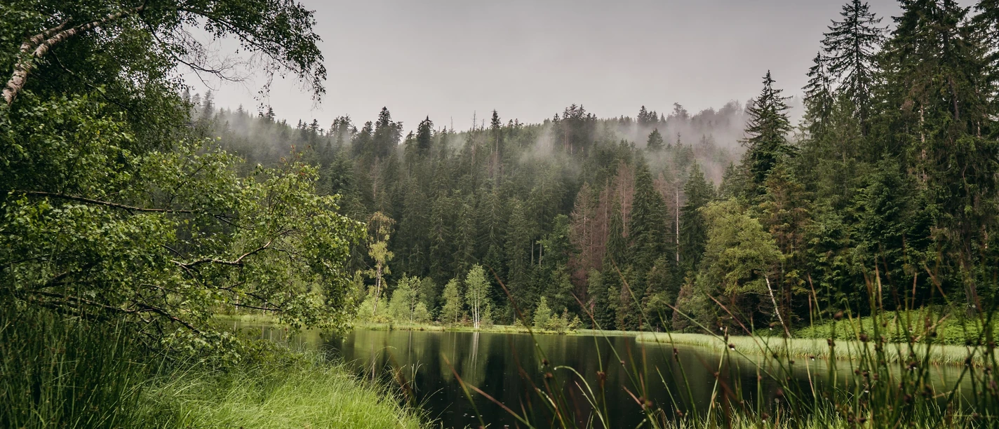 Buhlbachsee