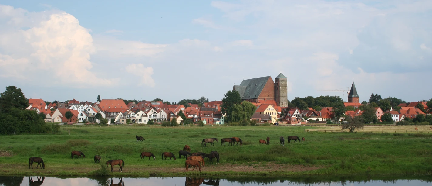 Eine grüne Wiese mit weidenden Pferden, im Hintergrund die Silhouette der Stadt Verden mit Kirchturm.