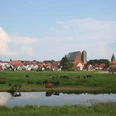 Reiterstadt Verden-Nachbarstaedte-Mittelweser-Region Eine grüne Wiese mit weidenden Pferden, im Hintergrund die Silhouette der Stadt Verden mit Kirchturm.