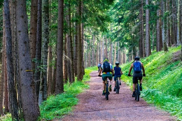Radsport Wald.jpg