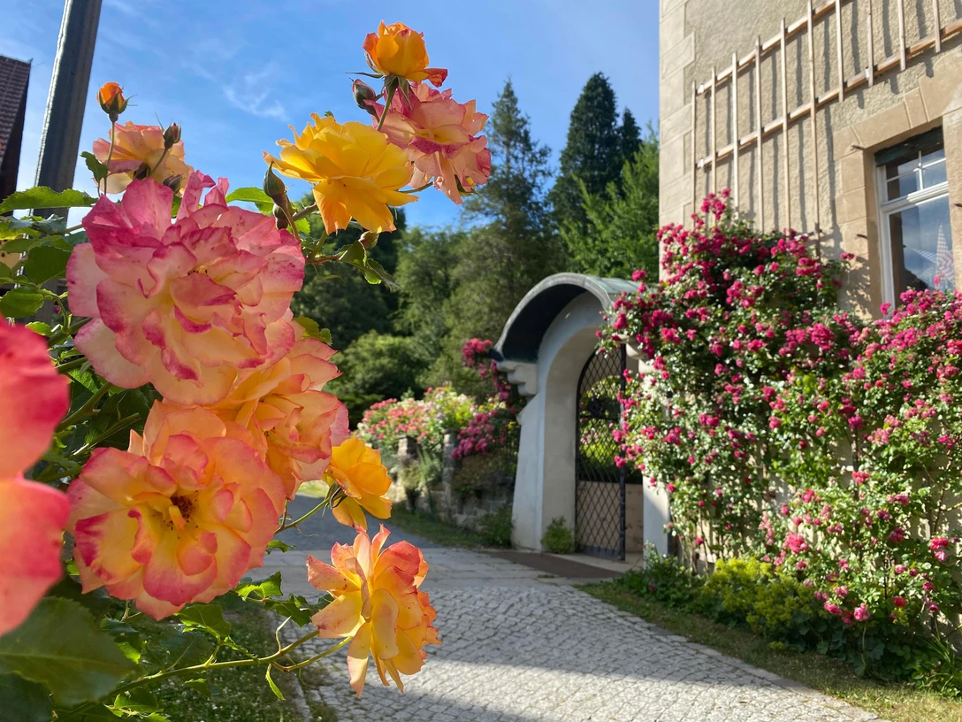 Sommerschnittkurs im Schloss Thürmsdorf