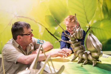 Wildnis(t)räume Ausstellung