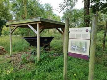 20230811 H1 Sandgrubenlore Igelsbett Breuna