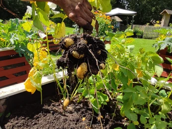 Nutz- und Wandelgarten Kösterhof4