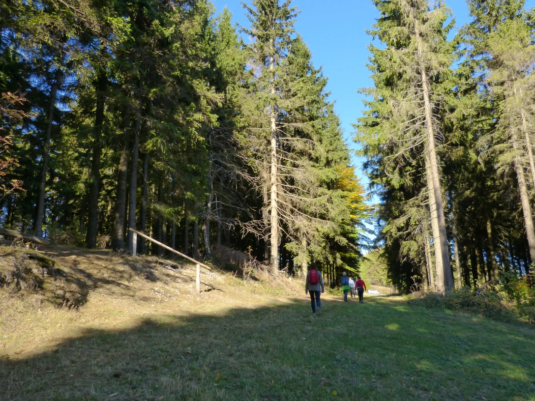 Wandern Ravensberg (c) Julia Engelhardt (2).JPG