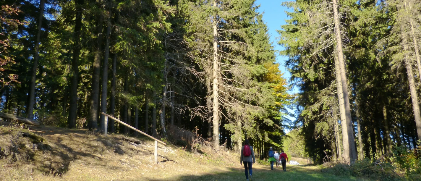 Wandern Ravensberg (c) Julia Engelhardt (2).JPG