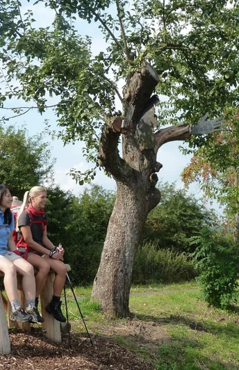 H7 Wolfhagen Märchenrastplatz Baumelbank