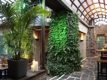 Atrium des Bistro's.jpg Wintergartenähnlicher Raum mit Glasdecke, grünem Efeu, Holztischen und Pflanzenarrangement.Winter garden-like room with glass ceiling, green ivy, wooden tables and plant arrangements.