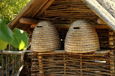 beehive-578191_1280.jpg