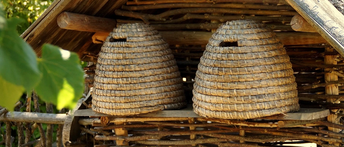 beehive-578191_1280.jpg