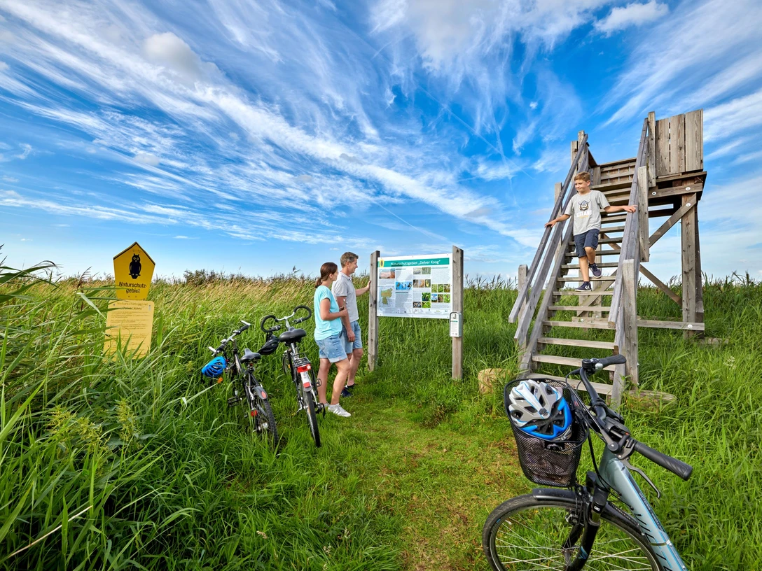 Aussichtsturm Naturschutzgebiet Delve