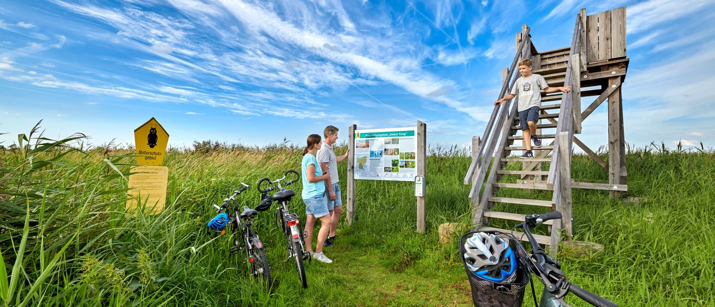 Aussichtsturm Naturschutzgebiet Delve