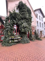 Minden Wohnblume I Das Bild zeigt den Eingangsbereich des Geschäftes.