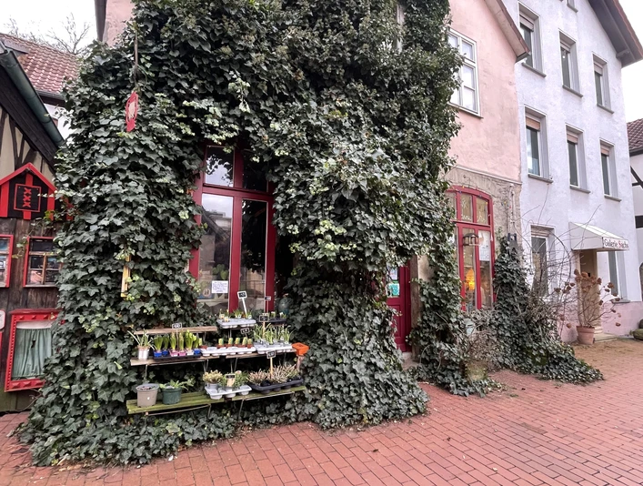 Minden Wohnblume I Das Bild zeigt den Eingangsbereich des Geschäftes.