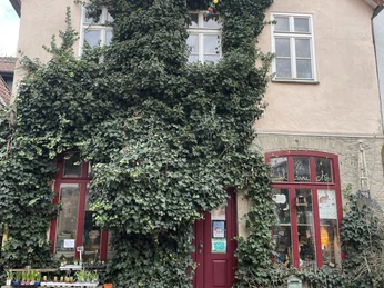 Minden - Wohnblume II Das Bild zeigt das Geschäft von außen.