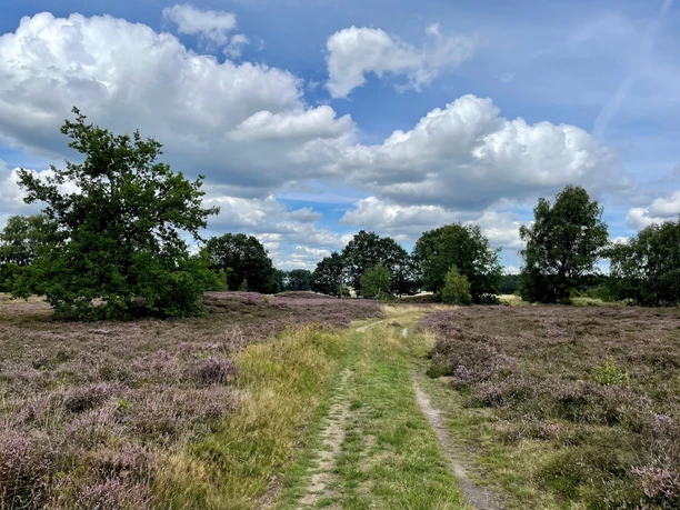 Addenstorfer Heide 1 (c) Bad Bevensen Marketing GmbH Nina Lüdemann.jpg