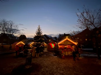 Verkaufshütten und erleuchteter Weihnachtsbaum.jpg