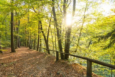 Sängershöh Bad Bevensen im Herbst.jpg