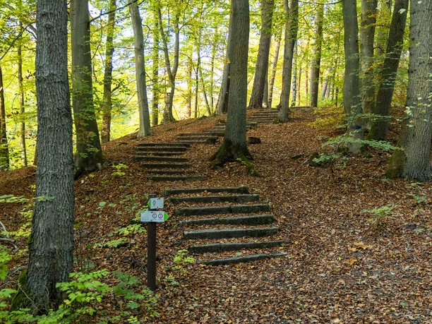 Treppe zur Sängershöh Bad Bevensen.jpg