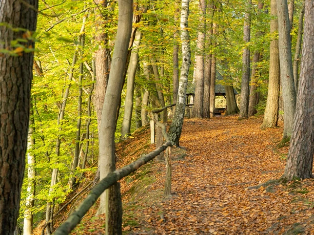 Weg zur Sängershöh Bad Bevensen.jpg