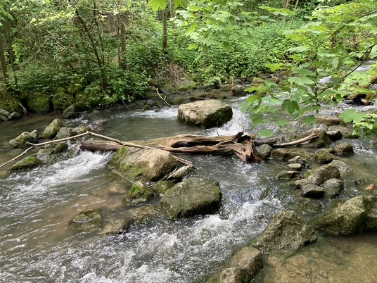 Auf der Suche nach Glück - Bärbel Troschke-Monka Ein sanft fließender Bach schlängelt sich durch einen üppig grünen Wald mit moosbedeckten Steinen.