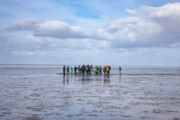 Wattwandern im Watt bei Upleward Gruppe von Menschen folgt einer Führung durch das Wattenmeer bei Upleward, weites Watt und Himmel.